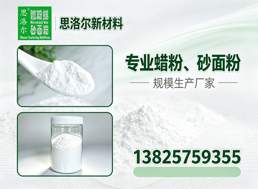 思洛尔北海线上分站